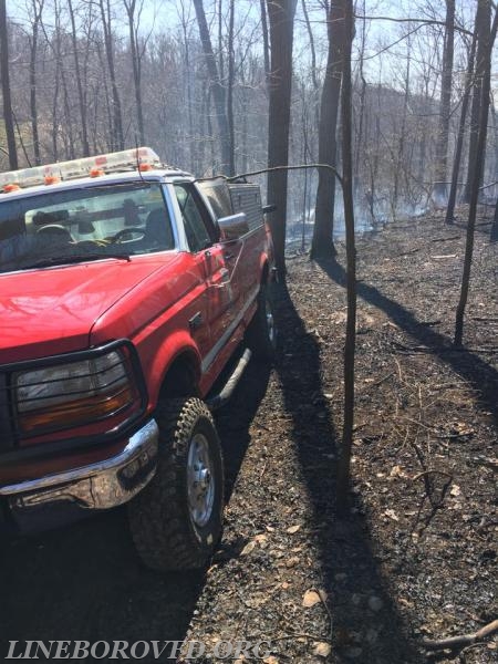 2017-03-09
Woods Fire
4017 Krebs RD / John LN